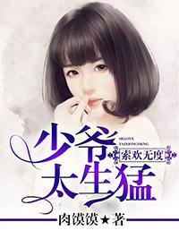 索欢无度：少爷太生猛封面