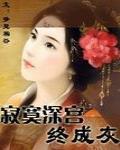 寂寞深宫终成灰封面