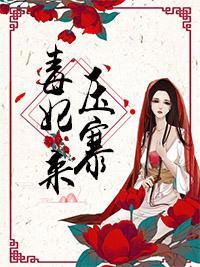 毒妃来压寨封面