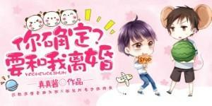 你确定要和我离婚?封面