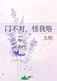 门不对，怪我咯封面