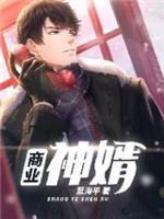 商业神婿封面