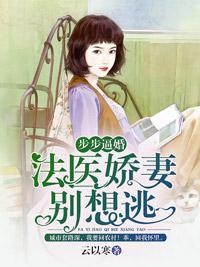 灯火阑珊处封面
