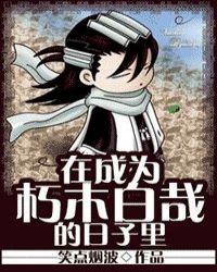 在成为朽木白哉的日子里封面