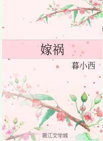 嫁祸封面