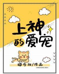 上神的爱宠封面