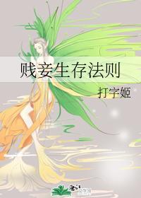 贱妾生存法则封面