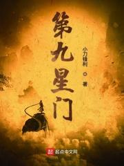 第九星门封面