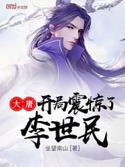 大唐开局震惊了李世民王子安封面