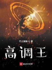 高调王封面
