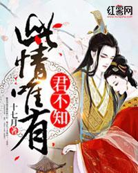 此情唯有君不知封面
