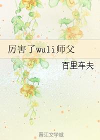 厉害了wuli师父封面