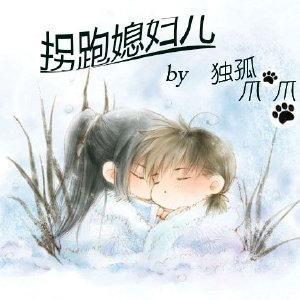 拐跑媳妇儿封面