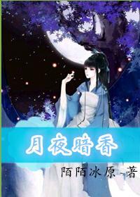 月夜暗香封面