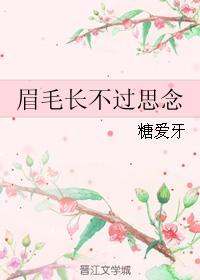 眉毛长不过思念封面