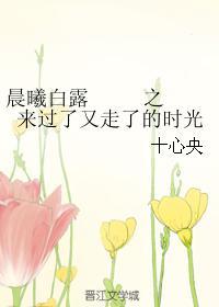 晨曦白露之来过了又走了的时光封面