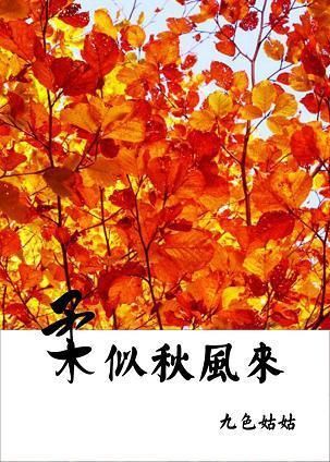 柔似秋风来封面