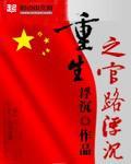 重生之官路浮沈封面