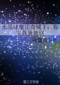 水晶球魔法奇域Ⅰ:你宝我黛她钗封面