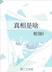 真相是啥封面