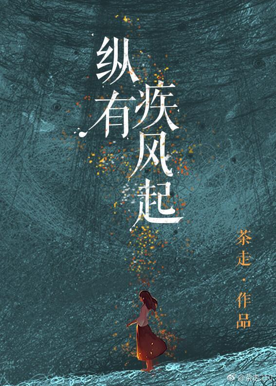 纵有疾风起封面