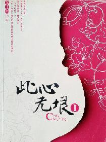 此心无垠封面