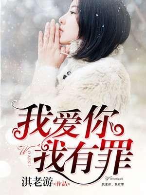 我爱你，我有罪封面
