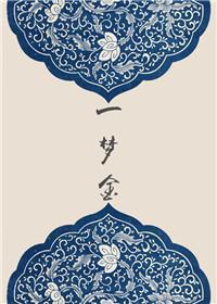一梦金封面