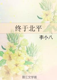 终于北平封面