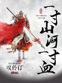 一寸山河一寸血封面
