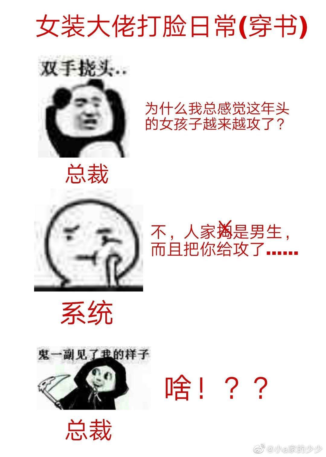 女装大佬打脸日常（穿书）封面