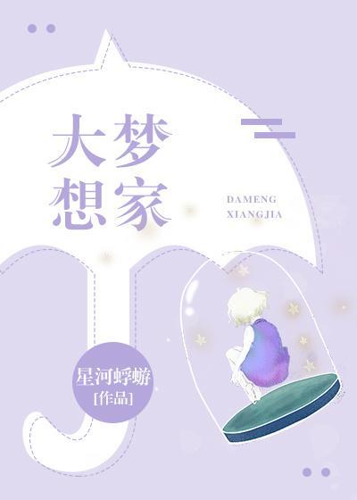 大梦想家封面