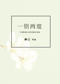 一别两宽封面
