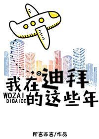 我在迪拜的这些年封面