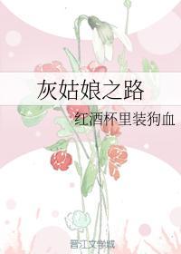 灰姑娘之路封面