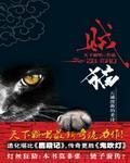贼猫封面