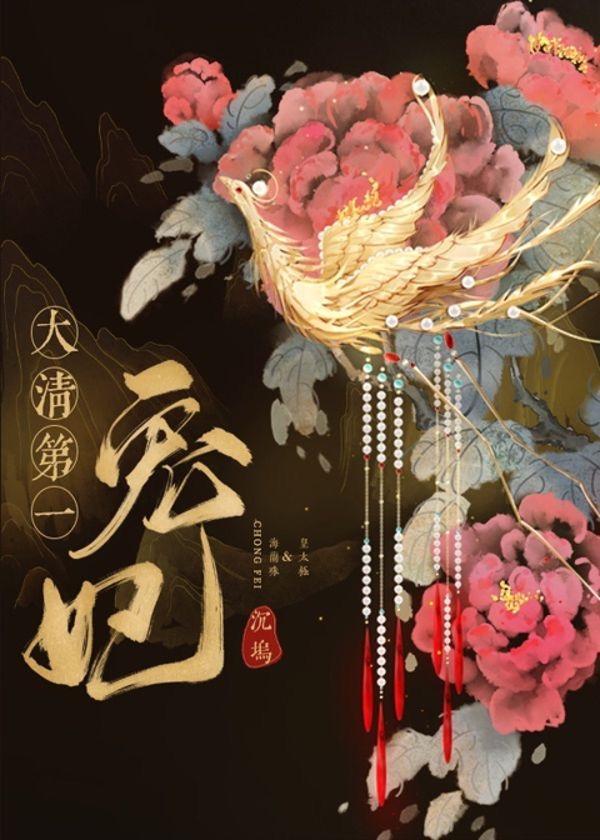 大清第一宠妃封面