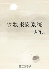 宠物报恩系统封面
