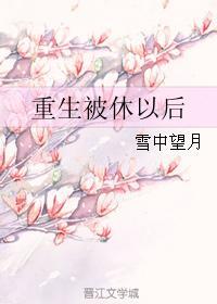 重生被休以后封面