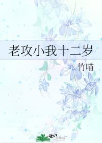 老攻小我十二岁封面