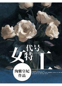 代号女特工封面