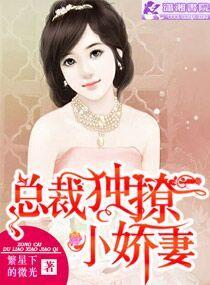 总裁独撩小娇妻封面