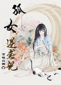 孤女逆袭记封面