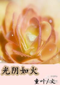 光阴如火(现代女尊)封面