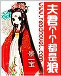 夫君个个都是狼封面