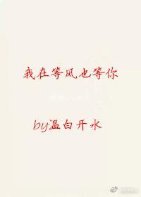 我在等风也等你封面