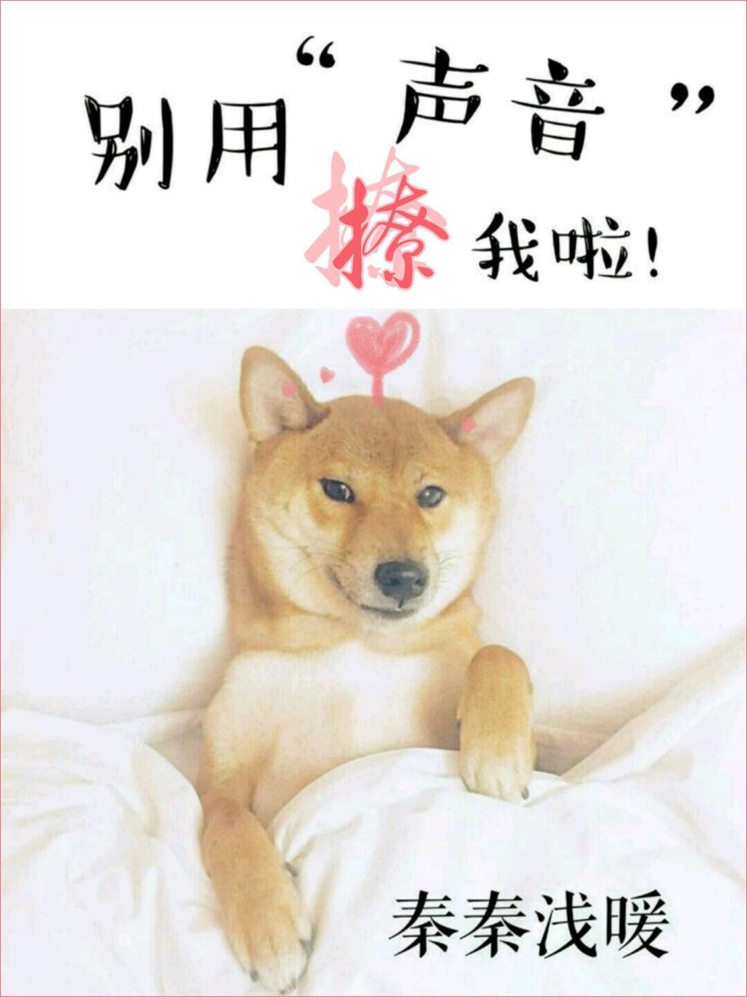 别用声音撩我啦封面