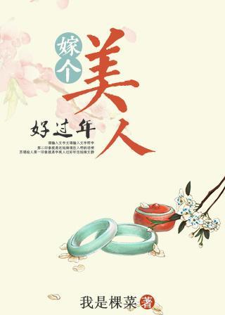 嫁个美人好过年封面