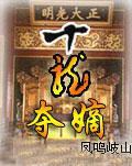 十龙夺嫡封面
