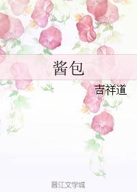 酱包封面